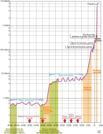 graph1 image